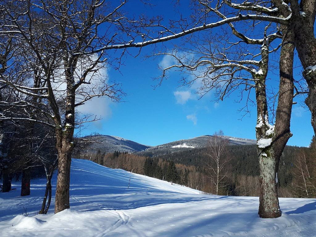 Apartmá Na Horách 4